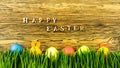 Hidden Easter Bunny in the grass. happy Easter.
