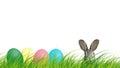 Hidden easter rabbit in a green meadow with colorful easter eggs isolated on white background