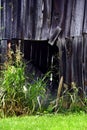 Hidden Entrance to Barn