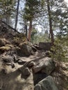 Hidden Falls Trail , Curt Gowdy State Park Royalty Free Stock Photo