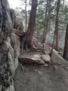 Hidden Falls trail , Curt Gowdy State park, Cheyenne, Wy Royalty Free Stock Photo