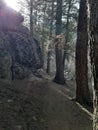 Hidden Falls trail , Curt Gowdy State Park , Cheyenne, Wy Royalty Free Stock Photo