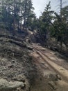 Hidden Falls trail , Curt Gowdy State Park , Cheyenne, Wy Royalty Free Stock Photo