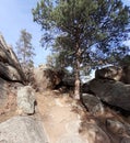 Hidden Falls trail , Curt Gowdy State Park , Cheyenne, Wy Royalty Free Stock Photo