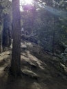 Hidden Falls Trail, Curt Gowdy State Park , Cheyenne, Wy Royalty Free Stock Photo