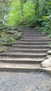 Hidden forest steps secret path Royalty Free Stock Photo