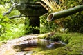 Hidden Fountain Royalty Free Stock Photo