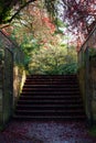 A hidden Garden on an Autumn morning. Royalty Free Stock Photo