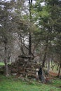 A hidden gazebo and a cave in the park zone among coniferous tre Royalty Free Stock Photo