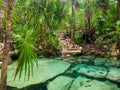 Sacred cenote azul in Tulum, Yucatan Peninsula, Mexico Royalty Free Stock Photo