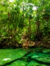 Sacred cenote azul in Tulum, Yucatan Peninsula, Mexico Royalty Free Stock Photo