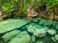 Sacred cenote azul in Tulum, Yucatan Peninsula, Mexico Royalty Free Stock Photo