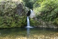 A Hidden Gem in the Wilderness: A Waterfall Amidst the Verdant Greenery Royalty Free Stock Photo