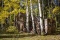 Hidden Historic Abandoned Home from the Wild West in Fall Royalty Free Stock Photo