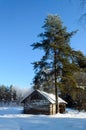 Hidden house in scandinavian winter birch forest