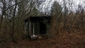 Hidden hut in the forest