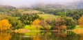 Early Morning Fog in Napa Valley in the Spring Royalty Free Stock Photo