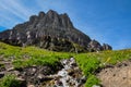 Hidden Lake Trail, Glacier National Park, Montana, USA Royalty Free Stock Photo