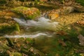 Hidden Mountain Stream Royalty Free Stock Photo