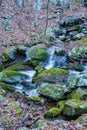 Hidden Mountain Trout Stream Royalty Free Stock Photo