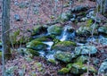 Hidden Mountain Trout Stream Royalty Free Stock Photo