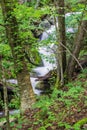 Hidden Mountain Cascading Stream Royalty Free Stock Photo