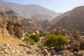 Hidden Oasis in Jabel Jais mountain range, landscape view with green lush palm trees and acacia trees, rocky mountains