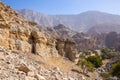 Hidden Oasis in Jabel Jais mountain range, landscape view with green lush palm trees and acacia trees, UAE