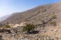 Hidden Oasis village on stony hill in Jebel Jais mountain range with dry terrace fields