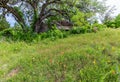 Hidden Old Abandoned Shack in Texas Royalty Free Stock Photo