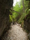 Hidden path between rocks