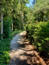 Hidden Path into the Trees. Williamsburg, VA Royalty Free Stock Photo