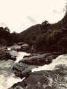 A Hidden river flowing through a forest in Sri Lanka