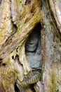The hidden stone face, angkor Royalty Free Stock Photo