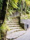 The hidden stone stair steps.