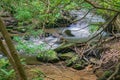 Hidden Stream in the Blue Ridge Mountains Royalty Free Stock Photo