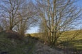 A Hidden Track lies just off the road near Letham in Angus, heading into the foothills of the Farmland .