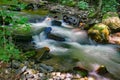 Hidden Trout Stream in the Blue Ridge Mountains Royalty Free Stock Photo