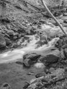 Black and White Image of a Hidden Trout Stream Royalty Free Stock Photo