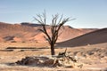 Hidden Vlei, Namibia