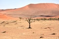 Hidden Vlei, Namibia