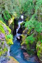 Hidden waterfall along the Avalanche lake trail