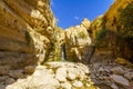 Hidden waterfall, Arugot stream, Ein Gedi Nature Reserve Royalty Free Stock Photo