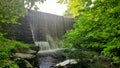 Hidden waterfall man-made dam overflowing into tranquil spillway Grove in summer