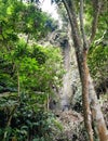 Hidden Waterfall in the Middle of a Lush Green Rainforest Royalty Free Stock Photo