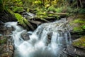 Hidden Waterfall