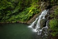 Hidden waterfall and pool deep in the Hawaiian rainforest Royalty Free Stock Photo