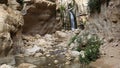 Hidden waterfall in Wadi Arugot , Israel