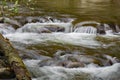 A Hidden Wild Mountain Trout Stream Royalty Free Stock Photo