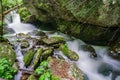 Hidden Wild Mountain Trout Stream Royalty Free Stock Photo